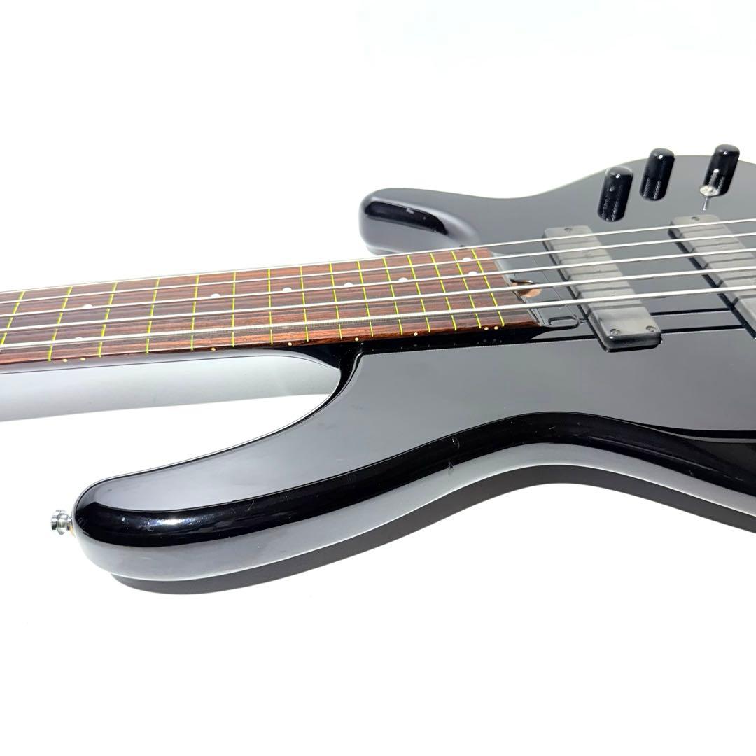 【希少】HEARTFIELD DR-5 カスタム 5弦ベース フレットレス仕様