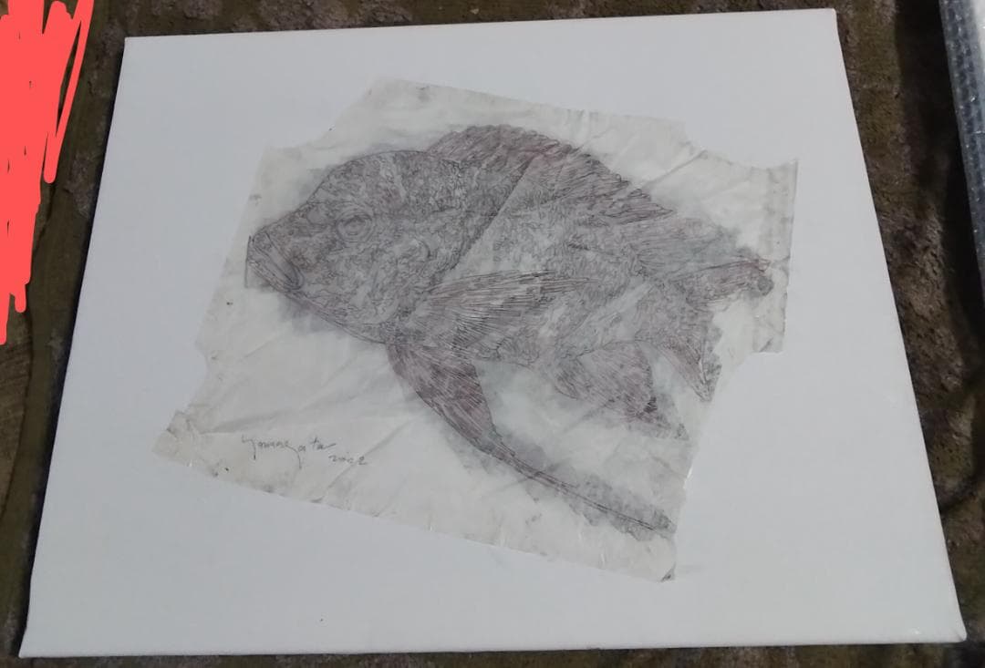 ヒロヤマガタ　巨匠真作魚直筆ドローイング鉛筆木炭画5号額無し保証書あり