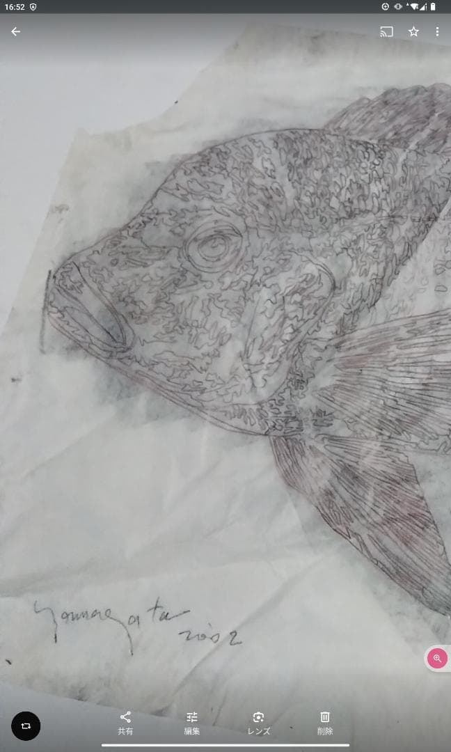 ヒロヤマガタ　巨匠真作魚直筆ドローイング鉛筆木炭画5号額無し保証書あり