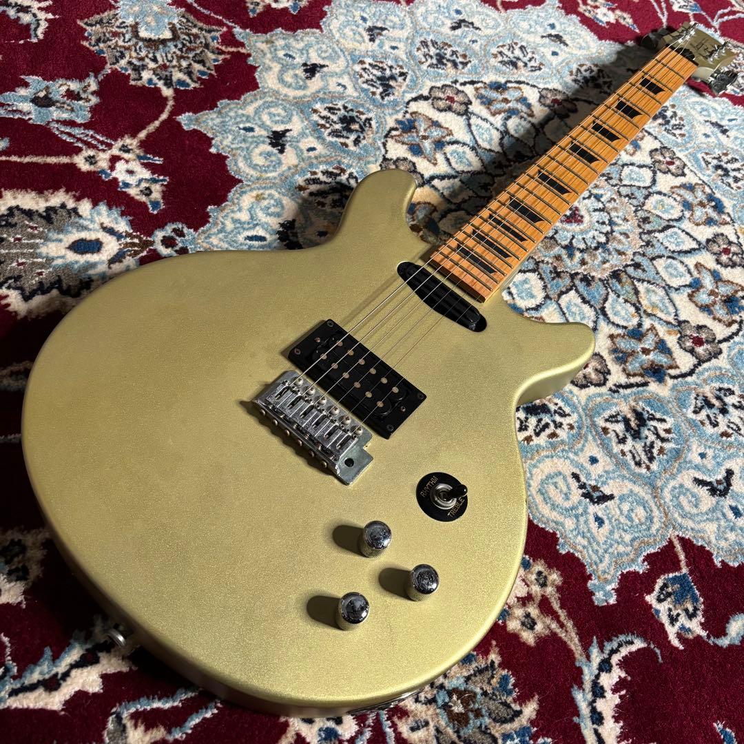 Barclay GLAY TAKURO 使用タイプ　ダブルカッタウェイ　ギター