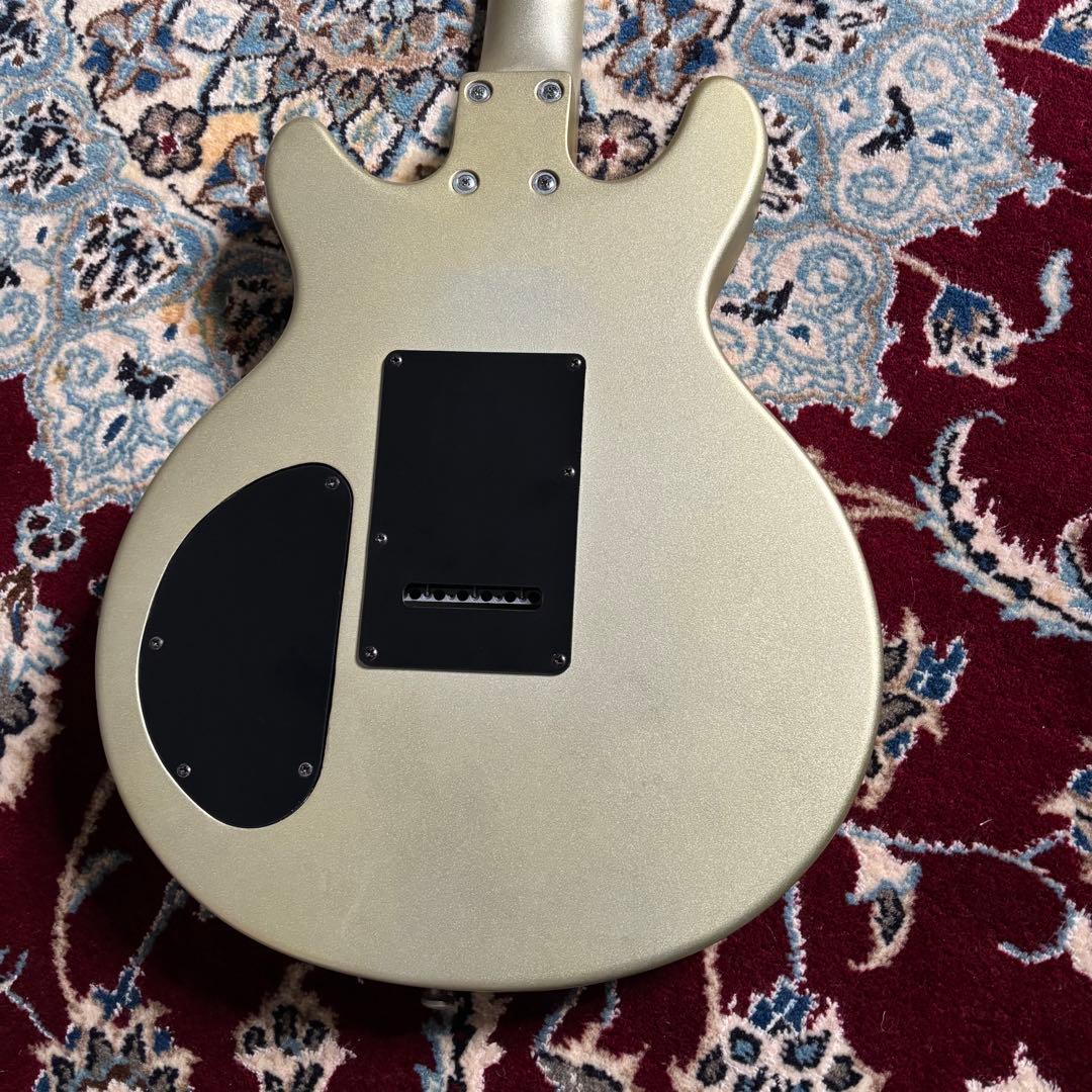 Barclay GLAY TAKURO 使用タイプ　ダブルカッタウェイ　ギター