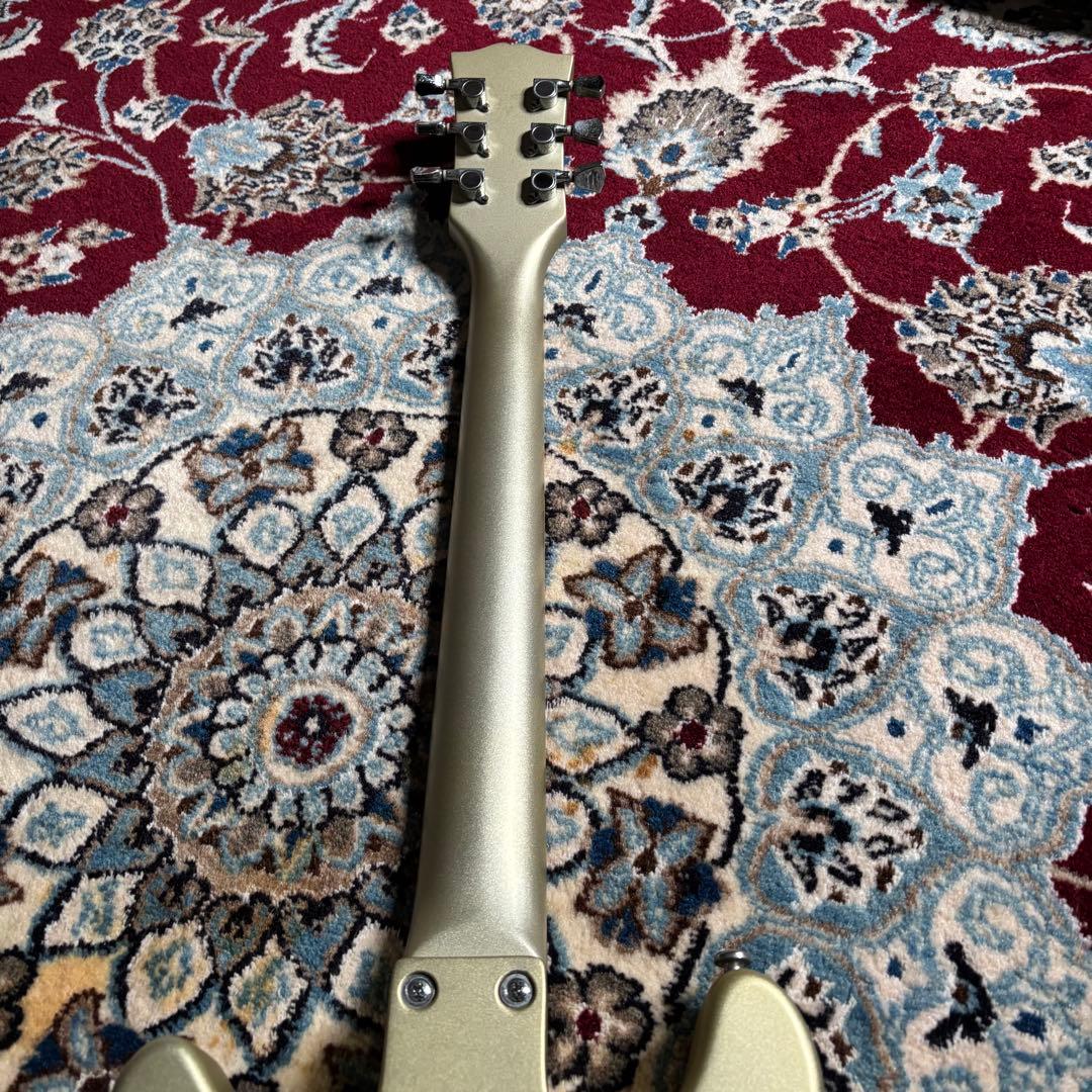 Barclay GLAY TAKURO 使用タイプ　ダブルカッタウェイ　ギター