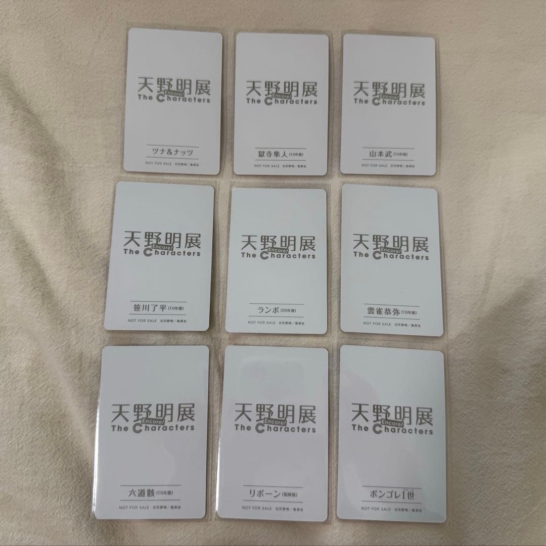 家庭教師ヒットマンREBORN! 天野明展 自撮り風カード 新規絵柄 全種セット