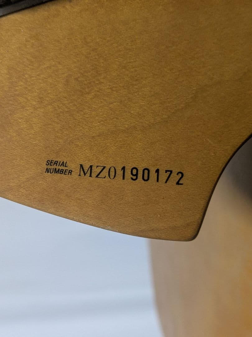 Fender Mexico Cyclone 2000-01年製造