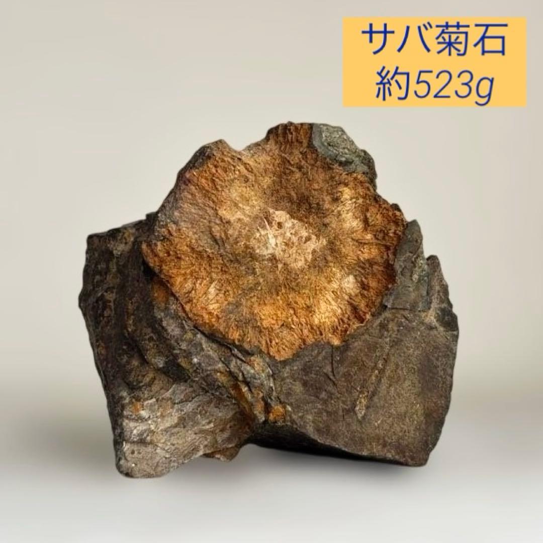 天然石　サバ菊石　約523g 鉱物　鑑賞石