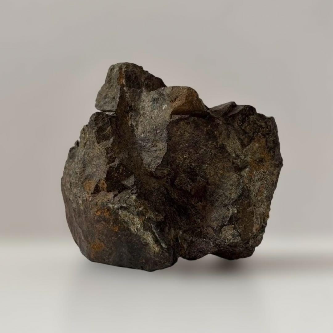 天然石　サバ菊石　約523g 鉱物　鑑賞石