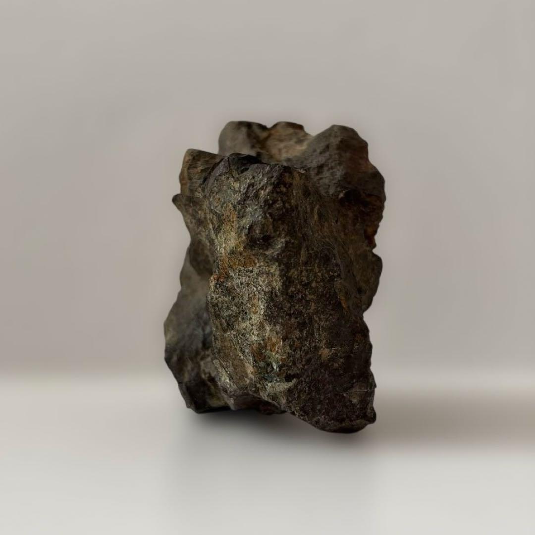 天然石　サバ菊石　約523g 鉱物　鑑賞石