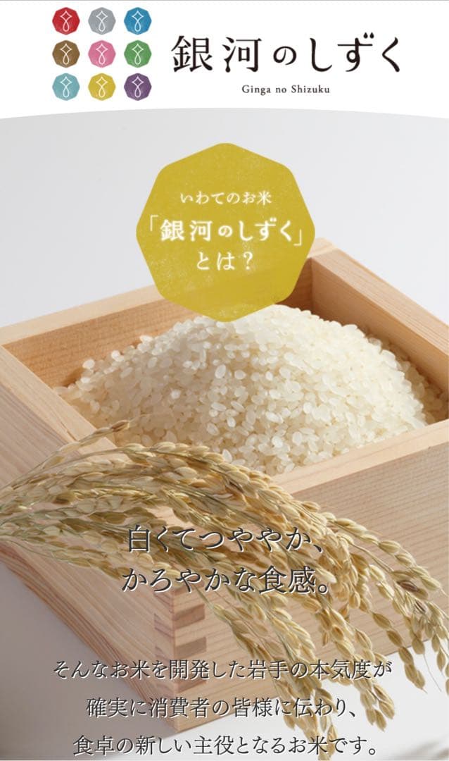 米　特別限定価格！白米【岩手県産銀河のしずく10kg】 (5kg×2)