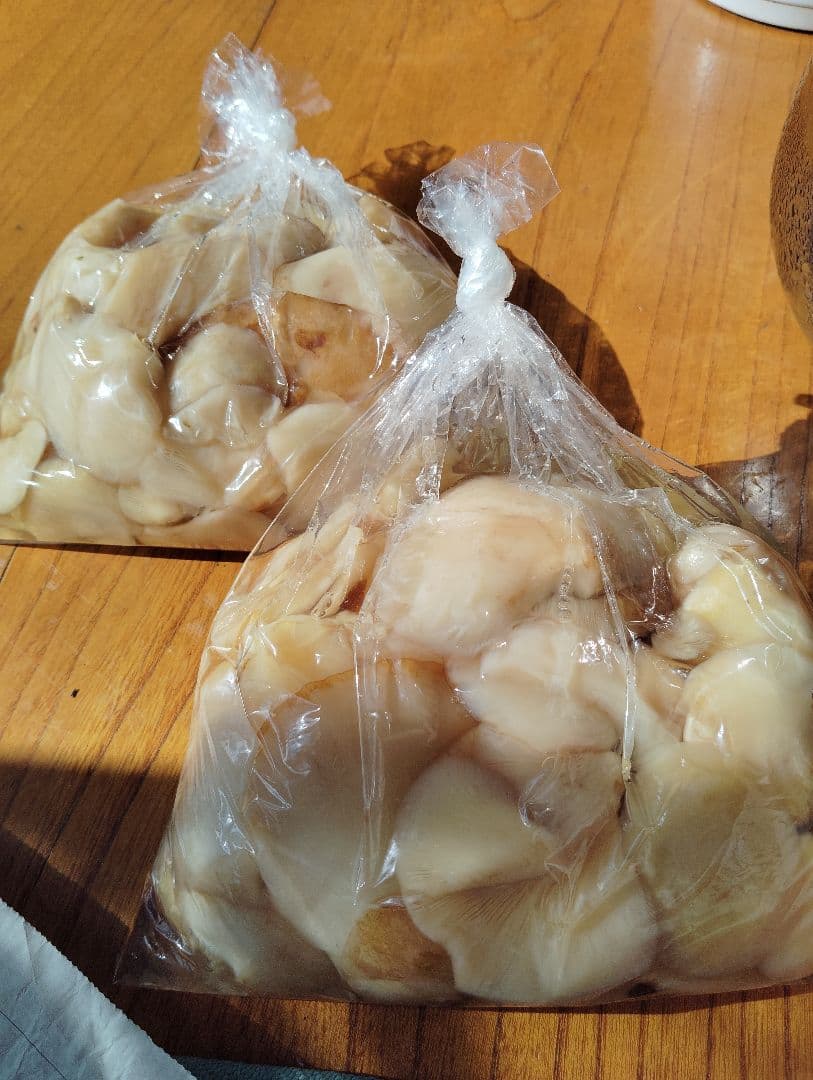 生　きのこ　8kg