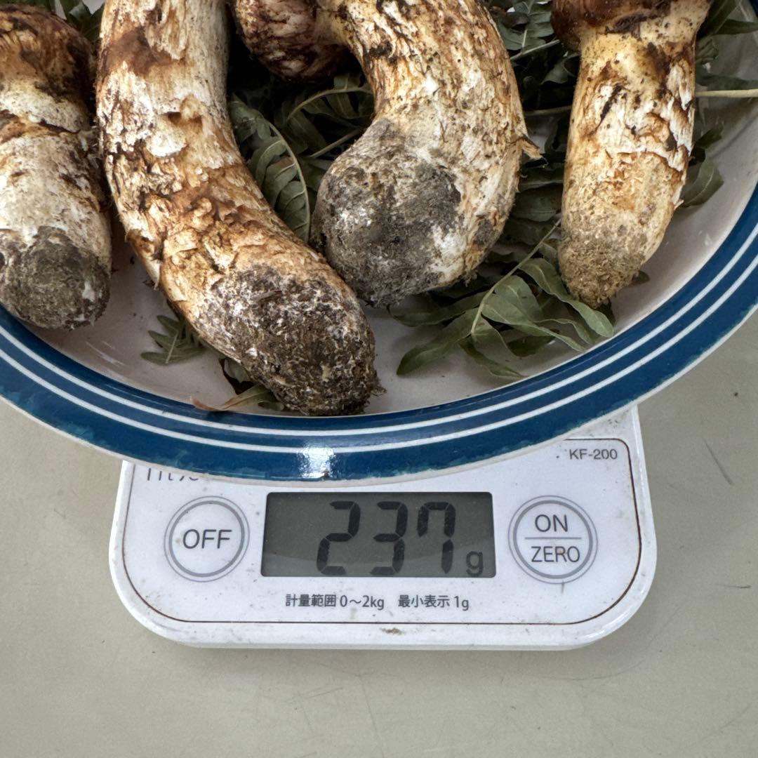 10/18朝採れ南信州産松茸230g