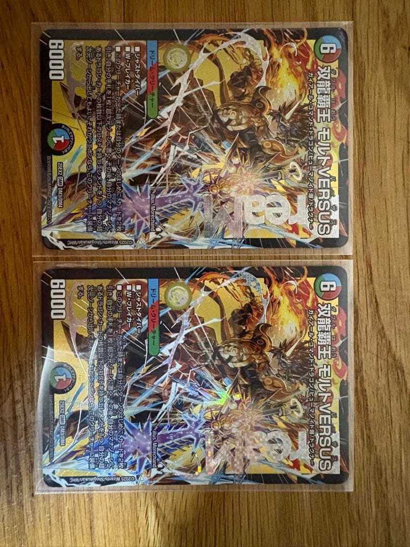 デュエルマスターズ 双龍覇王 モルトVERSUS 2枚