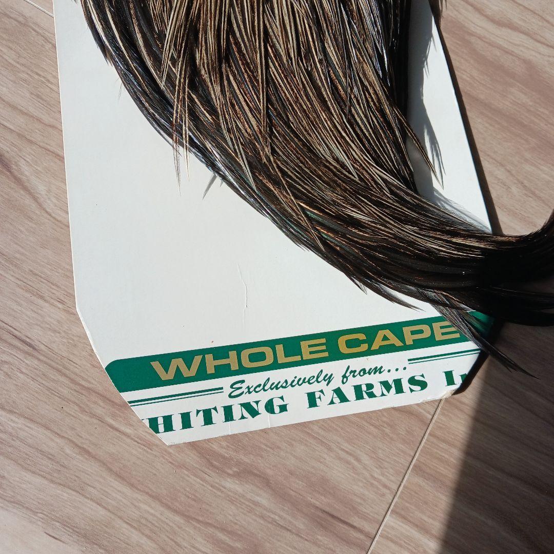 WHITING Hebert Pro Gradeスペックドバジャー