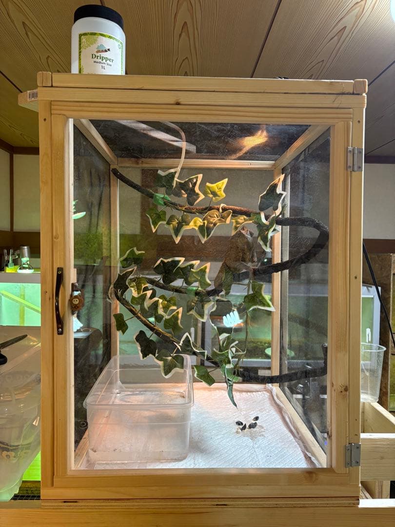 爬虫類ケージ　60×40×40 メッシュ　アクリル扉　カメレオン　ケージ　ペット