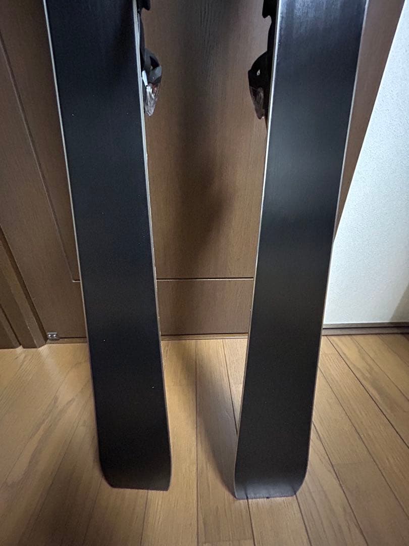 ノルディカ 165㎝　基礎　ドーベルマン SLR