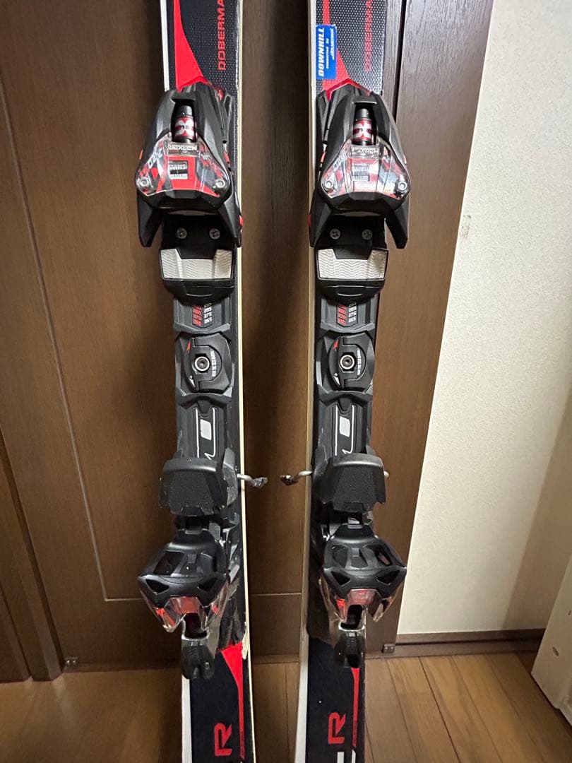 ノルディカ 165㎝　基礎　ドーベルマン SLR