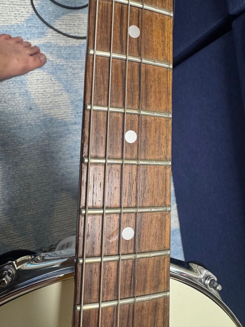 早い者勝ち！！アイバニーズ　ポールギルバートモデル