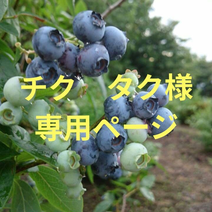 チク　タク様★専用ページ