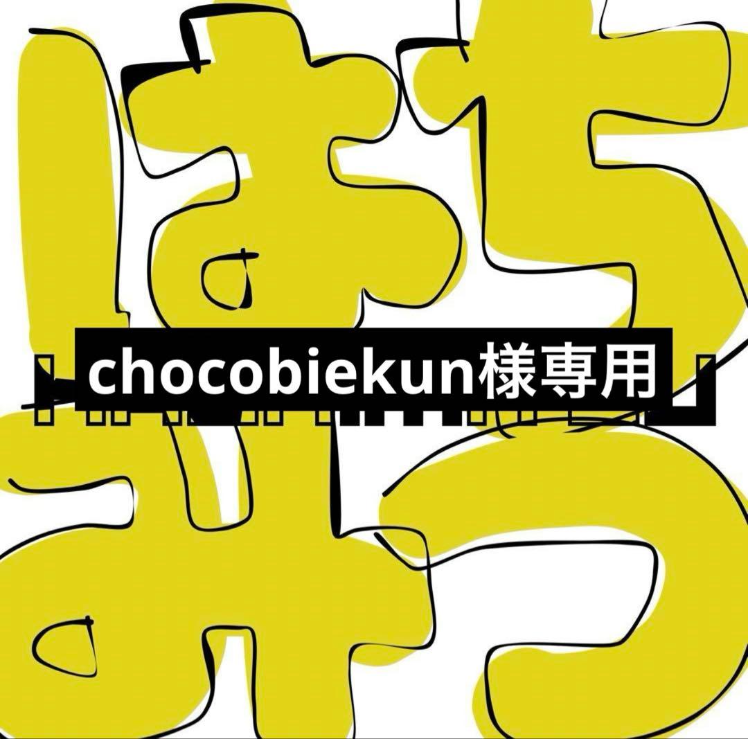 chocobiekun　1100g×1個　150g×1個