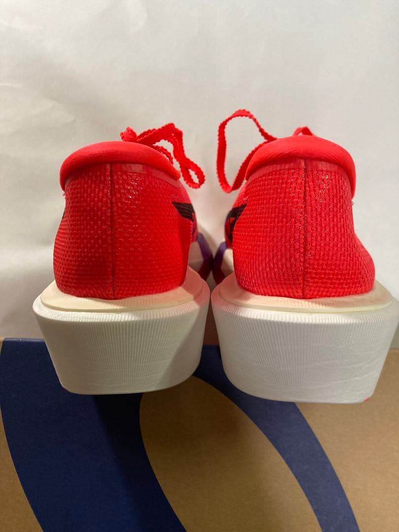 akane　ASICS SPEED SKY TOKYO 25cm