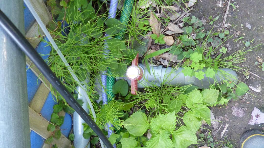 【引取限定】錦鯉用ターポリンシート池（330cm×100cm×120cm 中古）