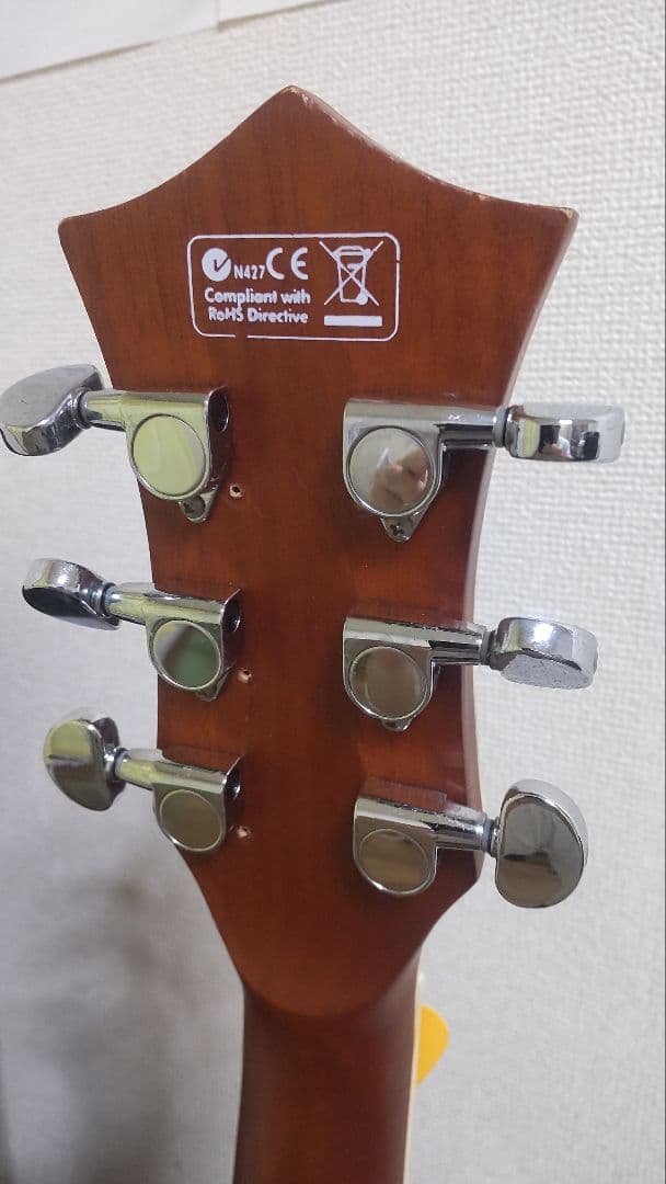 ギグバッグ付きアコースティックギター♪