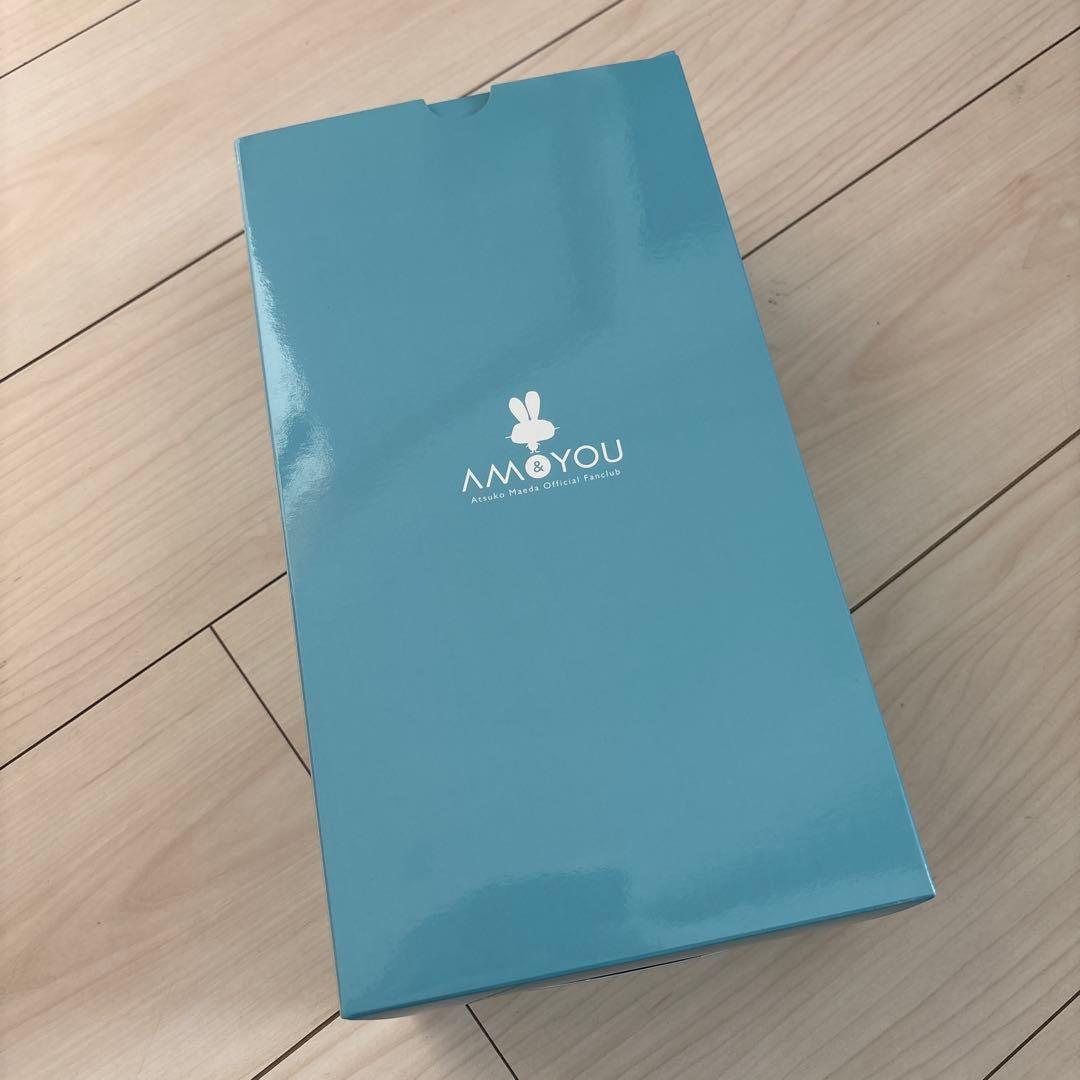 前田敦子 ファンクラブ AM&YOU ネギちゃんぬいぐるみ