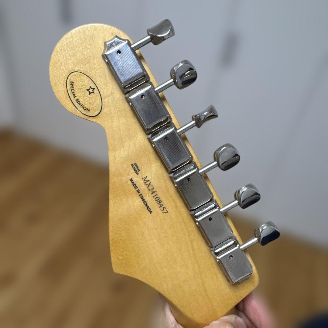 Fender Ltd Player Ⅱ Stratocaster Green