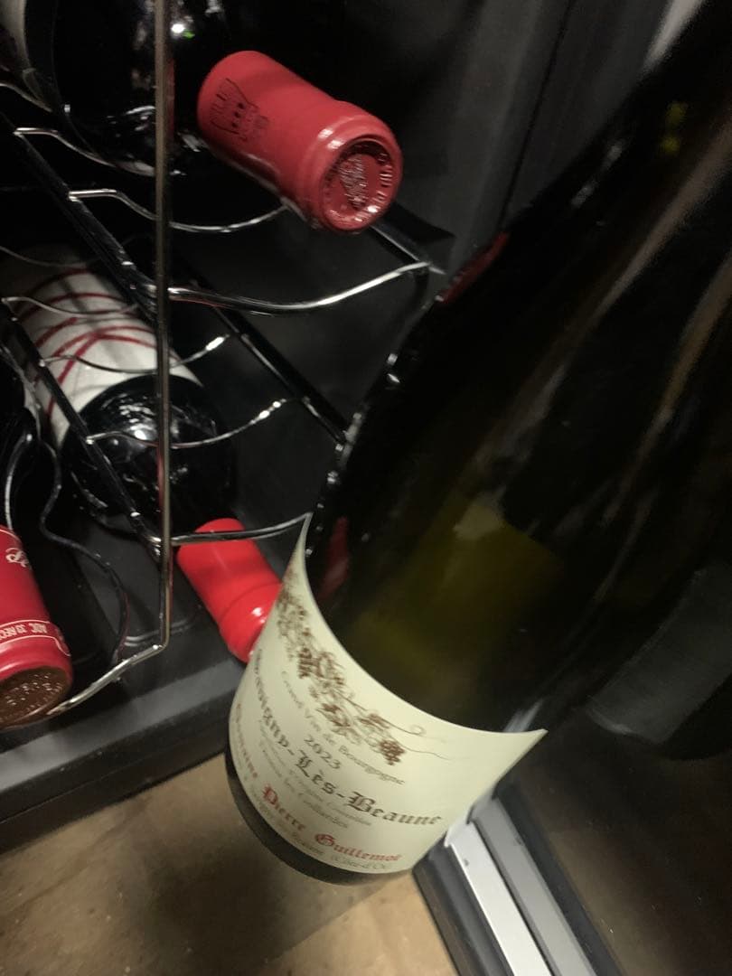 サヴィニィ レ ボーヌ ドゥシュ レ ゴヤルド 2023