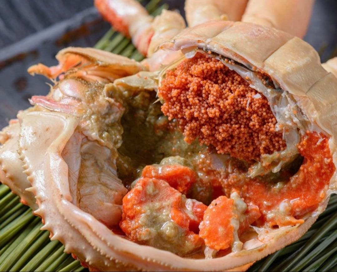 松葉蟹　ズワイガニ　セイコガニ　　特大8匹1.5キロ