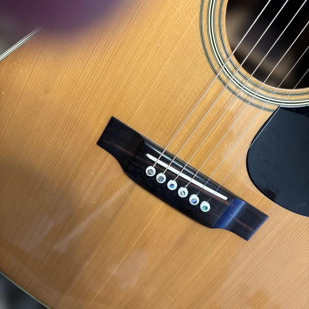 Yamaki アコースティックギター ハードケース付き