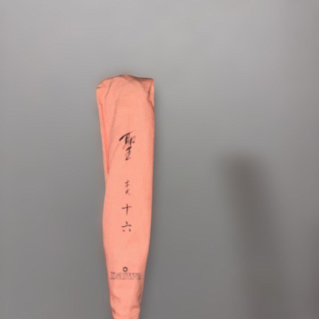 ダイワ　聖　本式 16尺