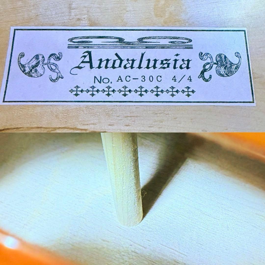 Andalusia No.AC-30C 4/4 チェロ アンダルシア