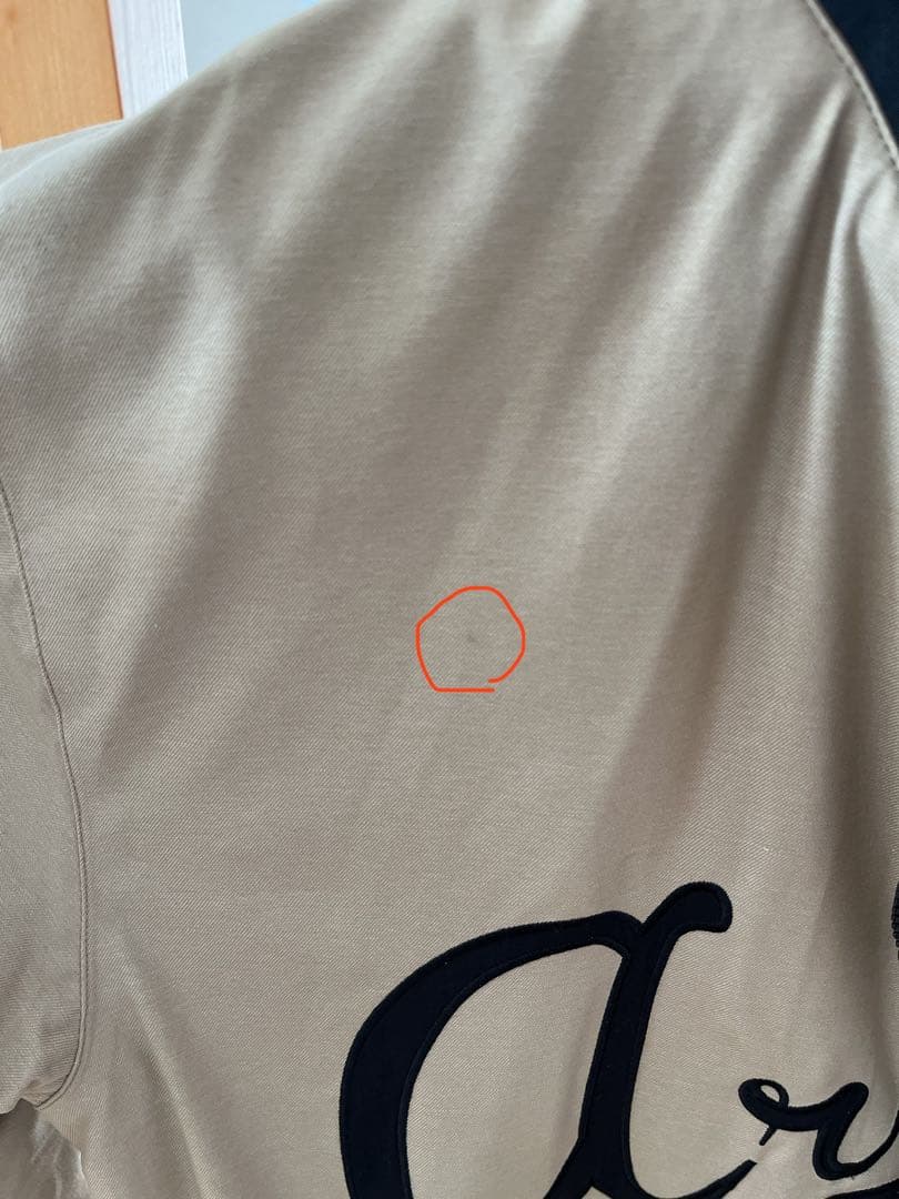 ⭐️美品⭐️ARMADA アルマダ スキー ウェア Lサイズ ベージュ