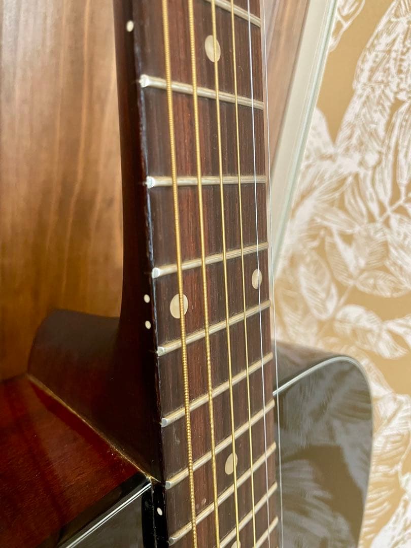 Aria Dreadnought アコースティックギター 美品 AF280-BS