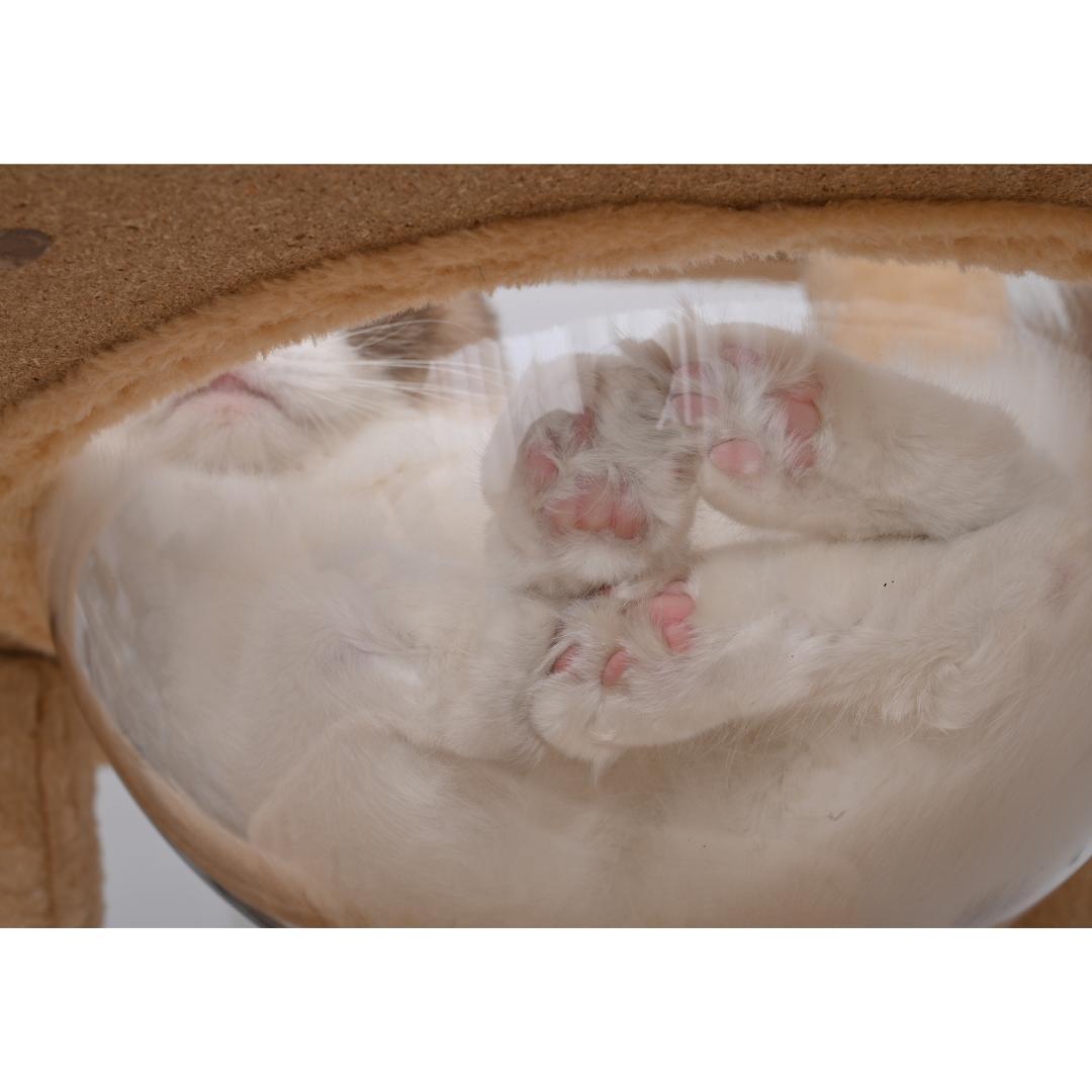 据え置き型 麻紐 爪とぎ 多頭飼い 宇宙船キャットタワー 据え置き型