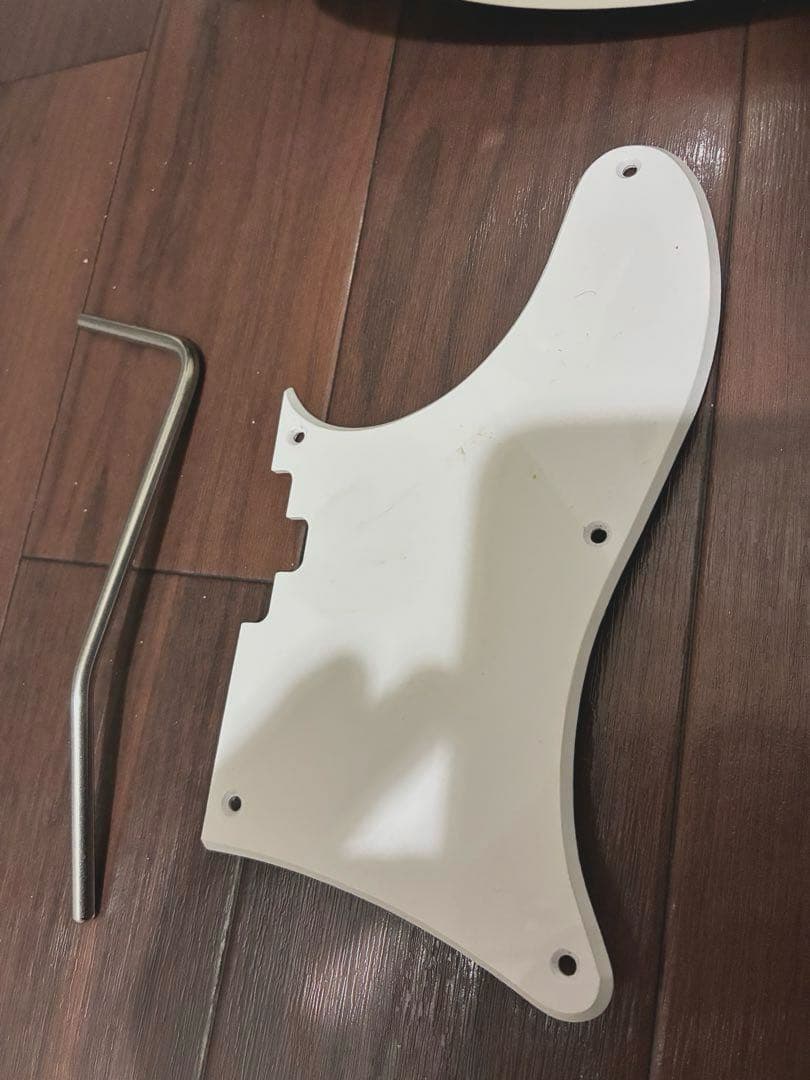 Bacchus TACTICS24-STD/RSM テレキャスター