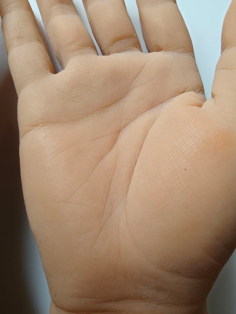 ハンドモデル 左手右手セットシリコン マネキン 模型 男性