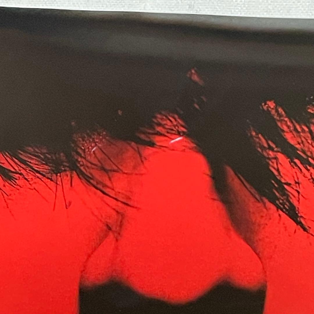 thee michelle gun elephant B2ポスター2枚 セット