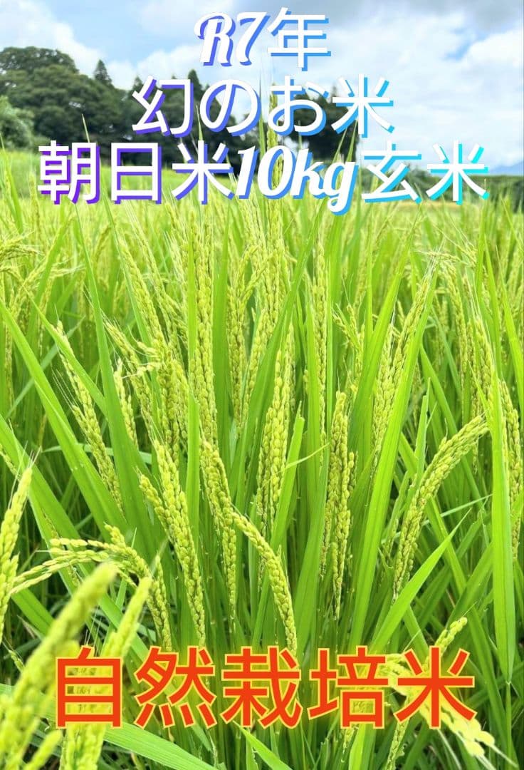 R7年 自然栽培米 朝日米10kg玄米