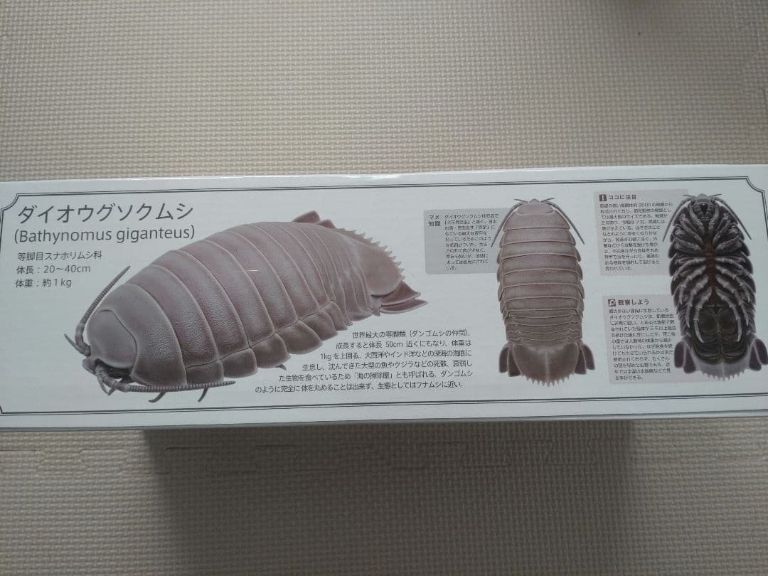 ネイチャーテクニカラー ダイオウグソクムシ フィギュア