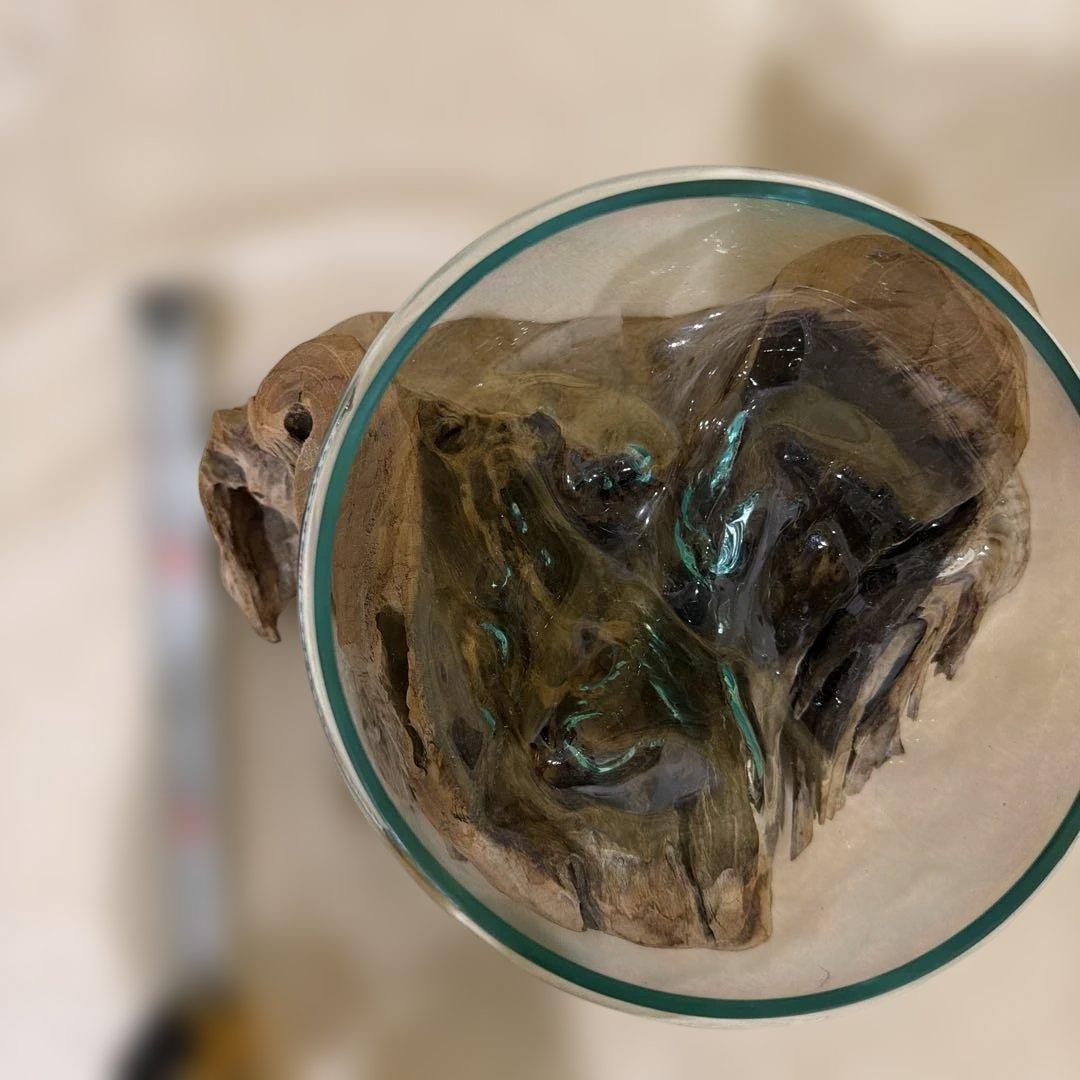 吹きガラスの花瓶、流木台座