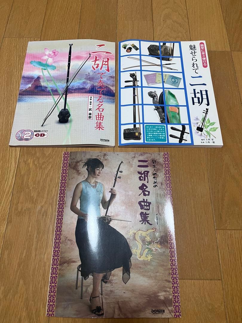 敦煌 二胡 ケース付き