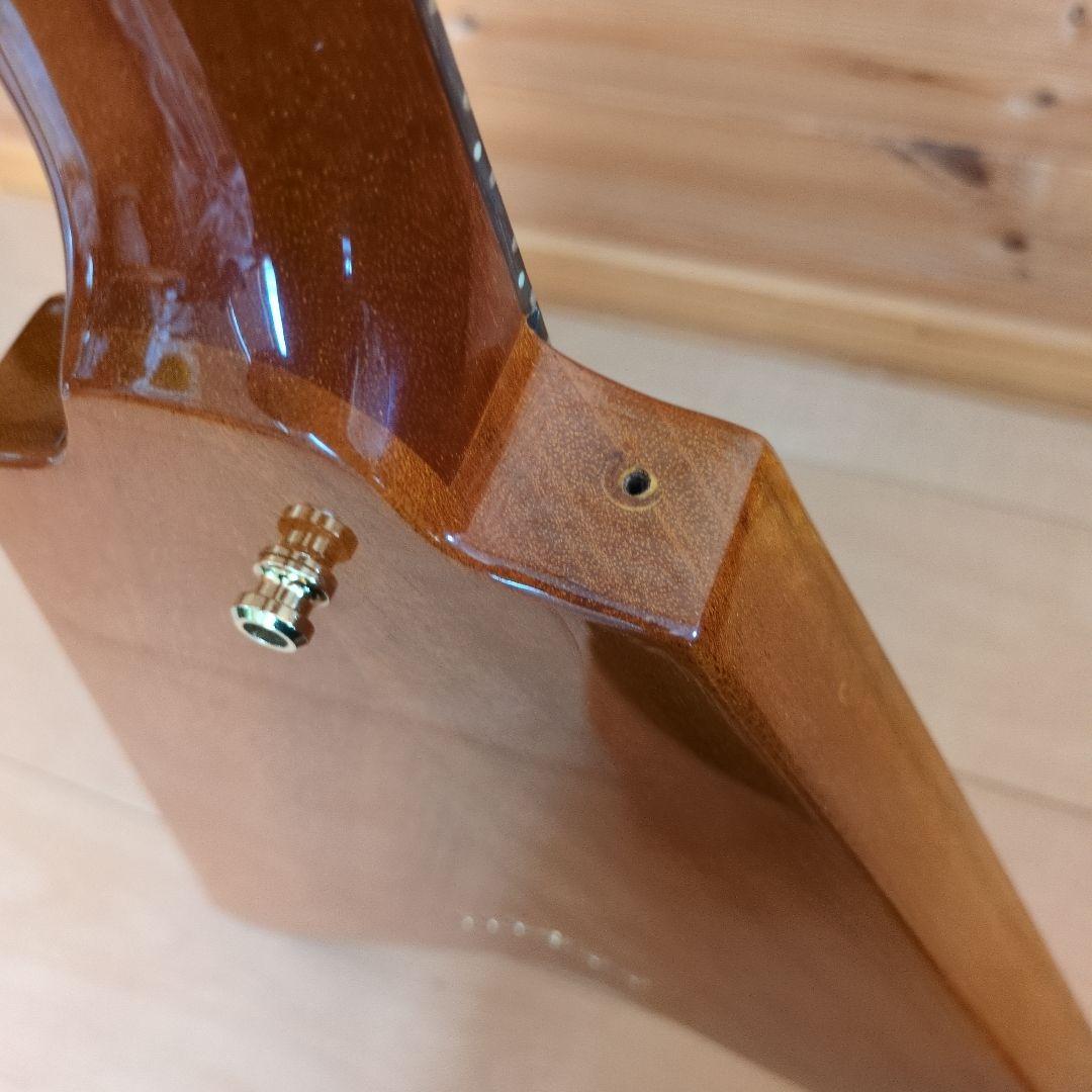 Bacchus　バッカス　bfvシリーズ　フライングV