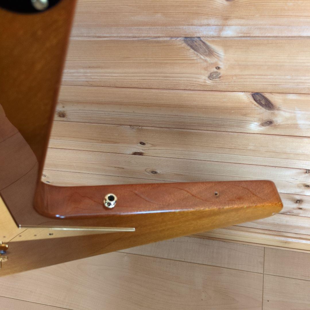 Bacchus　バッカス　bfvシリーズ　フライングV