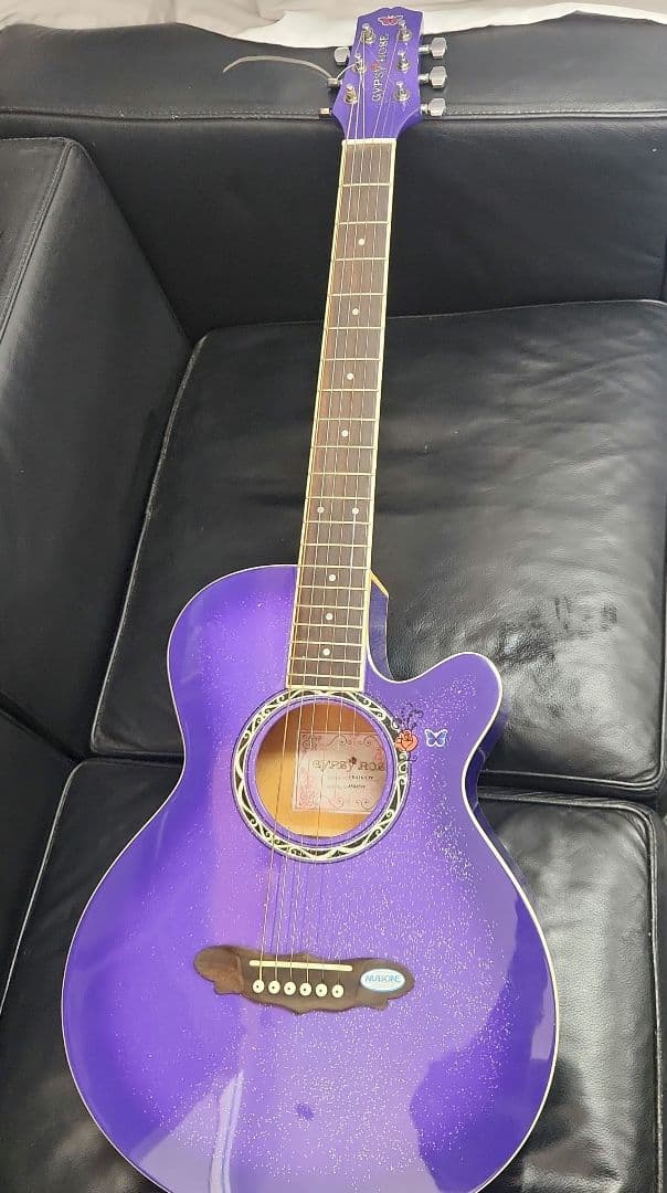 ジプシーローズ　アコースティックギター