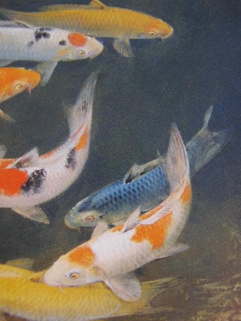 山下関城、【彩游】、希少な額装用画集より、新品額装付、状態良好