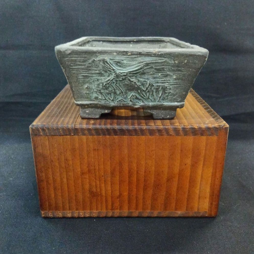 009.【陶翠】春秋/長方樹盆/盆栽鉢/木箱付き