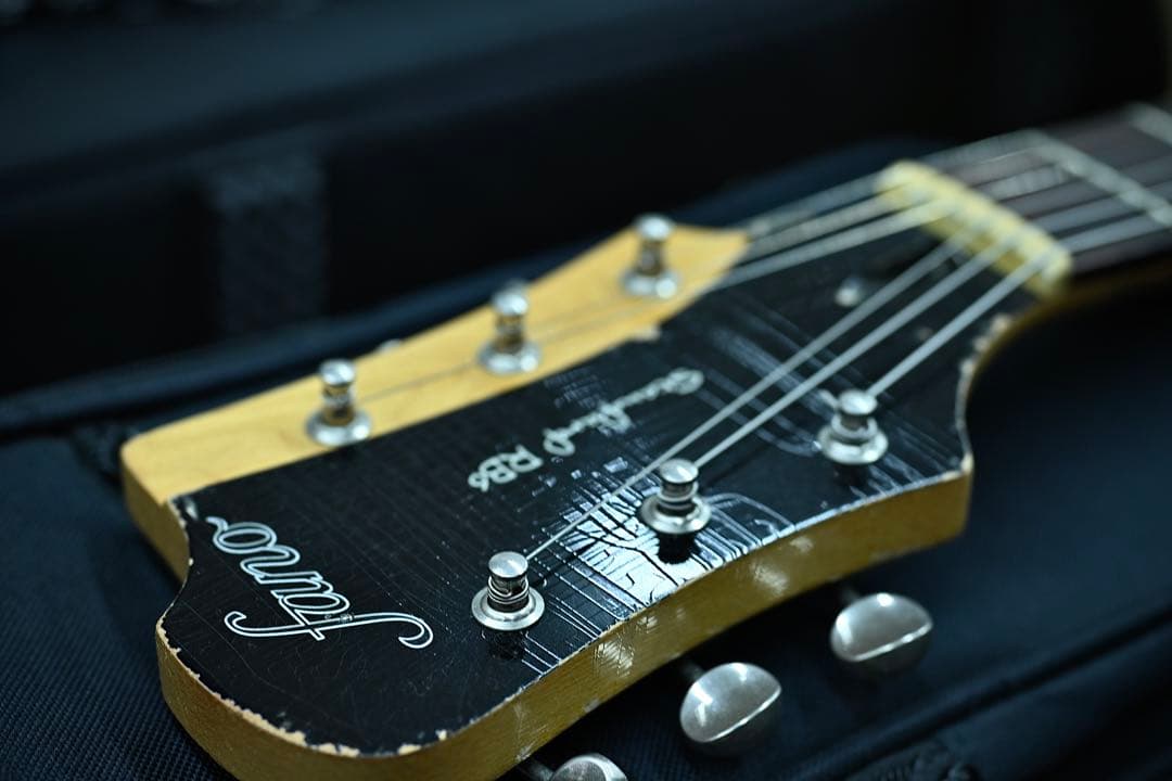 ギター Fano guitars Standard RB6 Mod