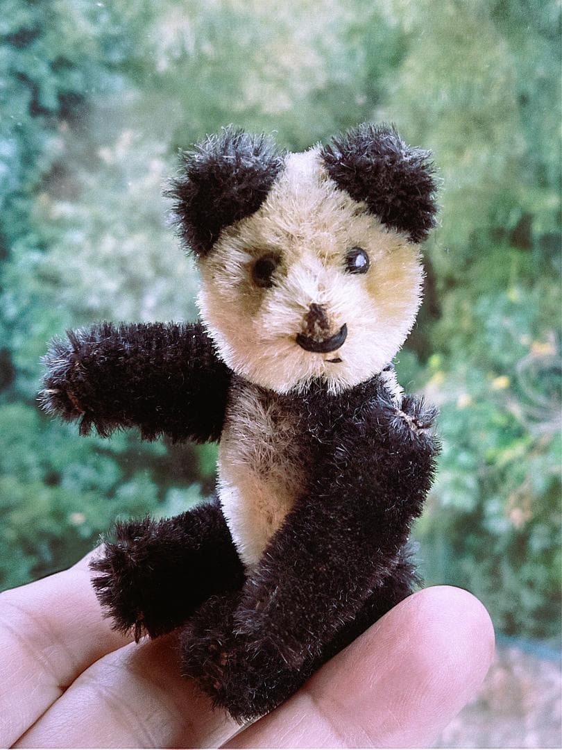 きっとあの子のお友達　ドイツ　こぐま　シュコー　パンダ　 アンティーク　９ｃｍ