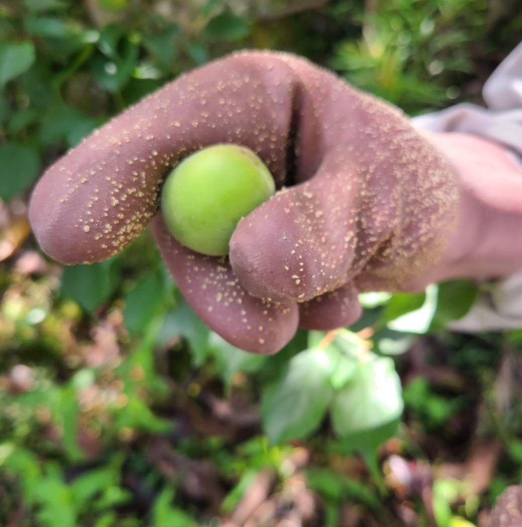 えぐちゃんページ 2kg